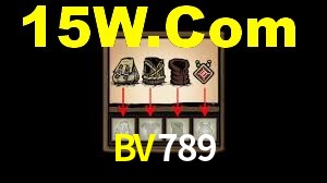 Programa VIP BV789